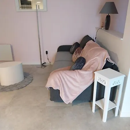 Grand Studio La Sensee - Parking Prive, Terrasse, Netflix, Au Calme Daire Hem-Lenglet