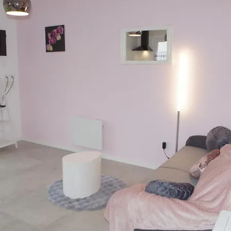 Daire Grand Studio La Sensee - Parking Prive, Terrasse, Netflix, Au Calme Hem-Lenglet