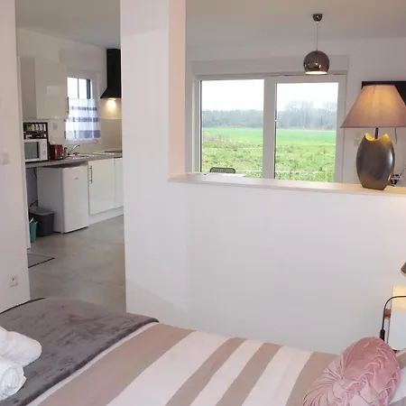 Grand Studio La Sensee - Wifi, Calme, Parking Prive Apartment *